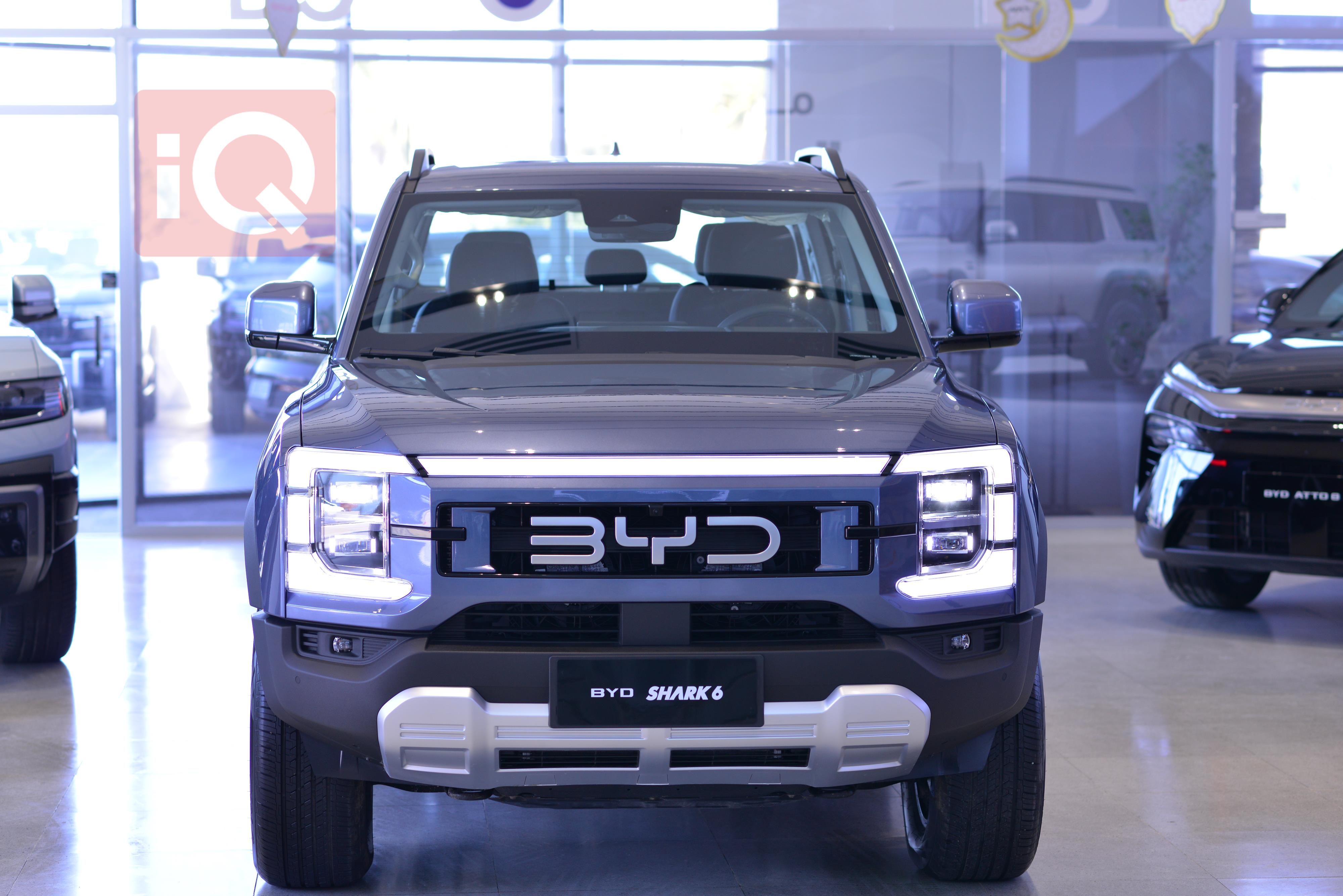 بي واي دي شارك 6